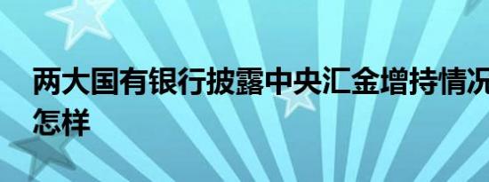 两大国有银行披露中央汇金增持情况 详情是怎样