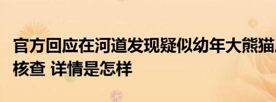 官方回应在河道发现疑似幼年大熊猫尸体：正核查 详情是怎样