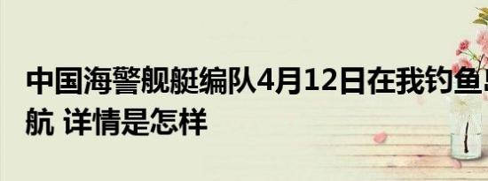 中国海警舰艇编队4月12日在我钓鱼岛领海巡航 详情是怎样