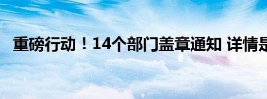 重磅行动！14个部门盖章通知 详情是怎样