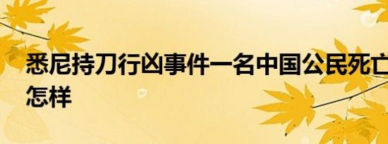 悉尼持刀行凶事件一名中国公民死亡 详情是怎样