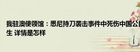 我驻澳使领馆：悉尼持刀袭击事件中死伤中国公民均为留学生 详情是怎样