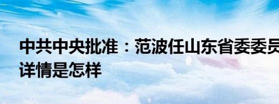 中共中央批准：范波任山东省委委员、常委 详情是怎样