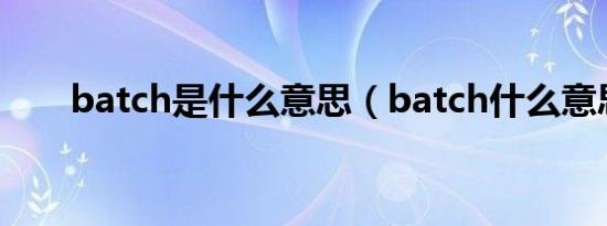 batch是什么意思（batch什么意思）