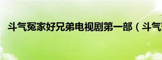 斗气冤家好兄弟电视剧第一部（斗气冤家）