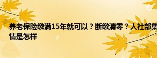 养老保险缴满15年就可以？断缴清零？人社部集中答疑 详情是怎样