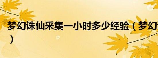 梦幻诛仙采集一小时多少经验（梦幻诛仙采集）