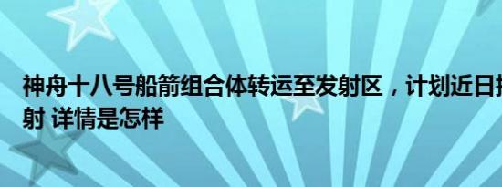 神舟十八号船箭组合体转运至发射区，计划近日择机实施发射 详情是怎样