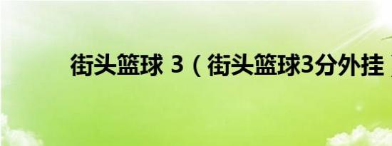 街头篮球 3（街头篮球3分外挂）