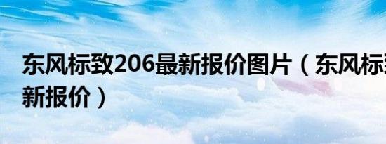 东风标致206最新报价图片（东风标致206最新报价）