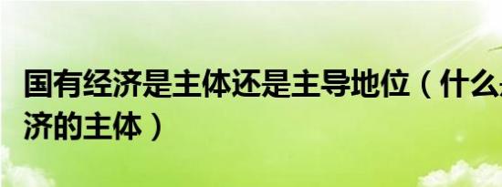 国有经济是主体还是主导地位（什么是国有经济的主体）