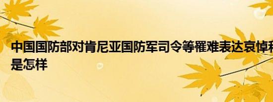 中国国防部对肯尼亚国防军司令等罹难表达哀悼和慰问 详情是怎样