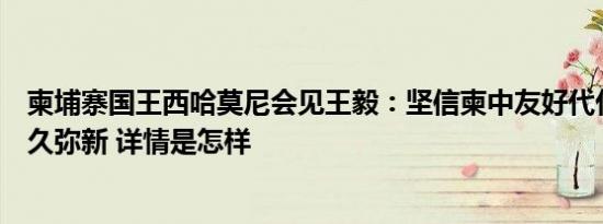 柬埔寨国王西哈莫尼会见王毅：坚信柬中友好代代相传、历久弥新 详情是怎样