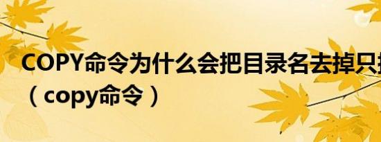 COPY命令为什么会把目录名去掉只拷贝文件（copy命令）