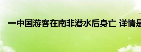 一中国游客在南非潜水后身亡 详情是怎样