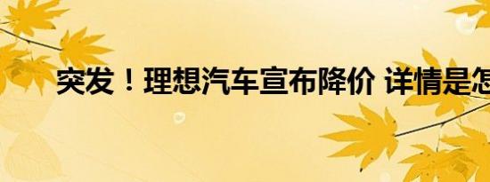 突发！理想汽车宣布降价 详情是怎样