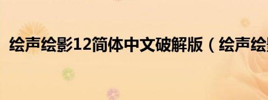 绘声绘影12简体中文破解版（绘声绘影11）