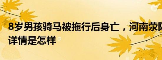 8岁男孩骑马被拖行后身亡，河南荥阳市通报 详情是怎样