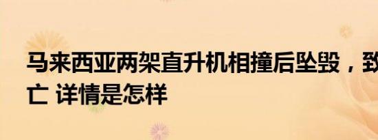 马来西亚两架直升机相撞后坠毁，致10人死亡 详情是怎样