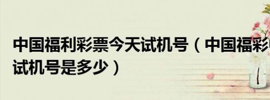 中国福利彩票今天试机号（中国福彩中心今晚试机号是多少）