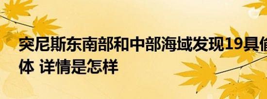 突尼斯东南部和中部海域发现19具偷渡者遗体 详情是怎样