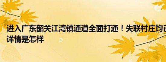 进入广东韶关江湾镇通道全面打通！失联村庄均已取得联系 详情是怎样