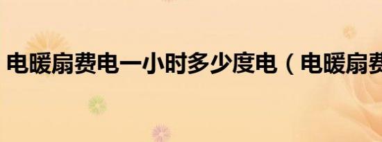 电暖扇费电一小时多少度电（电暖扇费电吗）