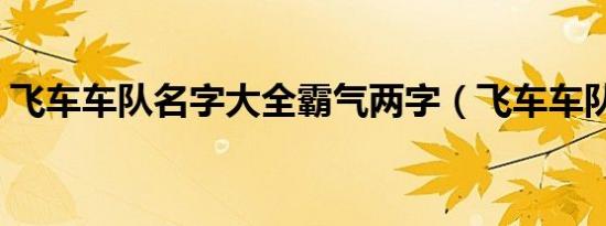 飞车车队名字大全霸气两字（飞车车队名字）