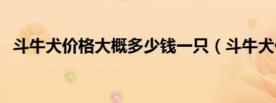 斗牛犬价格大概多少钱一只（斗牛犬价格）