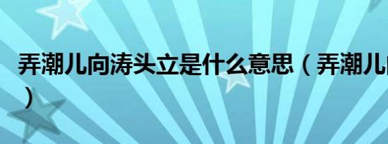 弄潮儿向涛头立是什么意思（弄潮儿向涛头立）