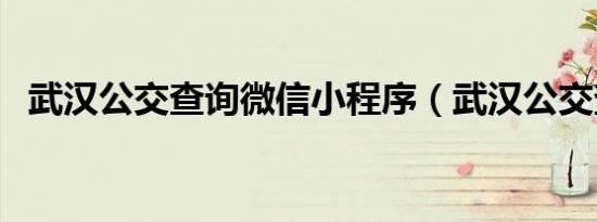 武汉公交查询微信小程序（武汉公交查询）