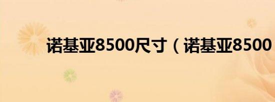 诺基亚8500尺寸（诺基亚8500）