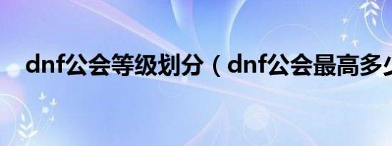 dnf公会等级划分（dnf公会最高多少级）