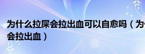 为什么拉屎会拉出血可以自愈吗（为什么拉屎会拉出血）