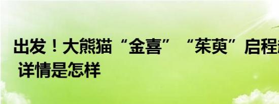 出发！大熊猫“金喜”“茱萸”启程赴西班牙 详情是怎样