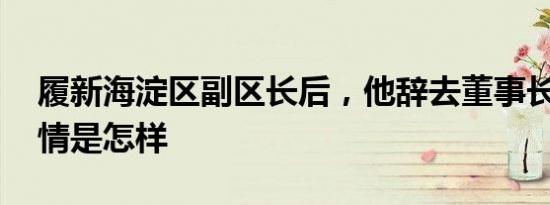 履新海淀区副区长后，他辞去董事长职务 详情是怎样