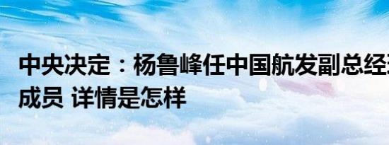 中央决定：杨鲁峰任中国航发副总经理、党组成员 详情是怎样