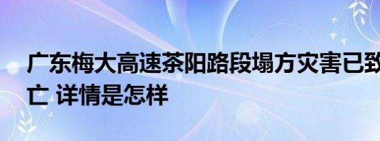 广东梅大高速茶阳路段塌方灾害已致48人死亡 详情是怎样