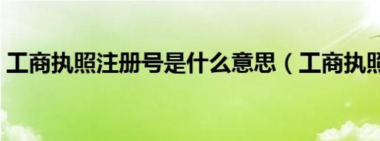 工商执照注册号是什么意思（工商执照注册）