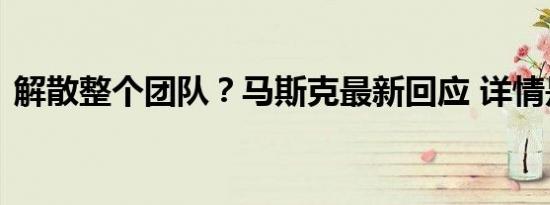 解散整个团队？马斯克最新回应 详情是怎样