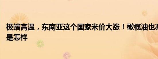 极端高温，东南亚这个国家米价大涨！橄榄油也减产了 详情是怎样