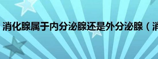 消化腺属于内分泌腺还是外分泌腺（消化腺）