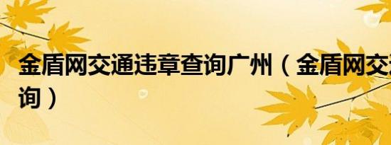 金盾网交通违章查询广州（金盾网交通违章查询）