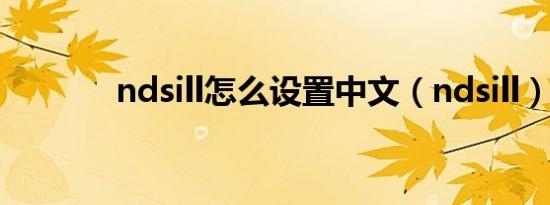 ndsill怎么设置中文（ndsill）