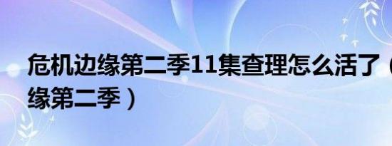 危机边缘第二季11集查理怎么活了（危机边缘第二季）