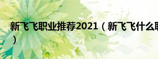 新飞飞职业推荐2021（新飞飞什么职业厉害）