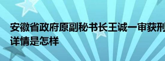 安徽省政府原副秘书长王诚一审获刑11年半 详情是怎样