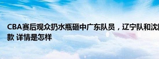 CBA赛后观众扔水瓶砸中广东队员，辽宁队和沈阳赛区被罚款 详情是怎样