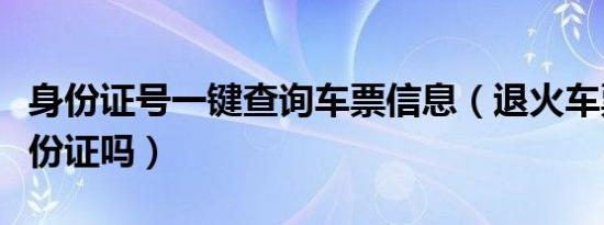 身份证号一键查询车票信息（退火车票需要身份证吗）