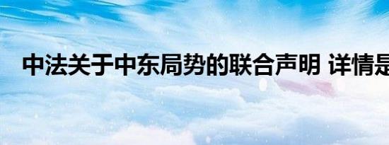 中法关于中东局势的联合声明 详情是怎样